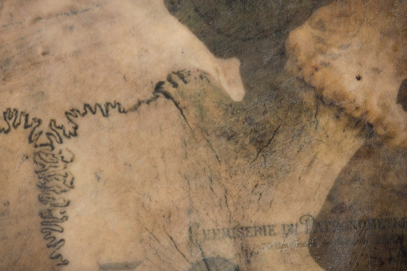 "Specimens", panel 11 detail