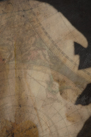 "Specimens", panel 14 detail