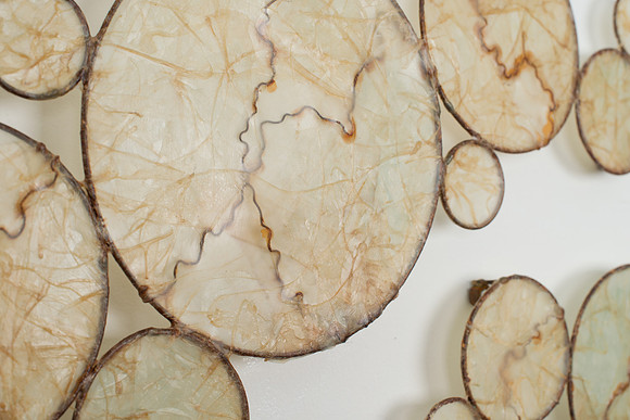Veins, detail
