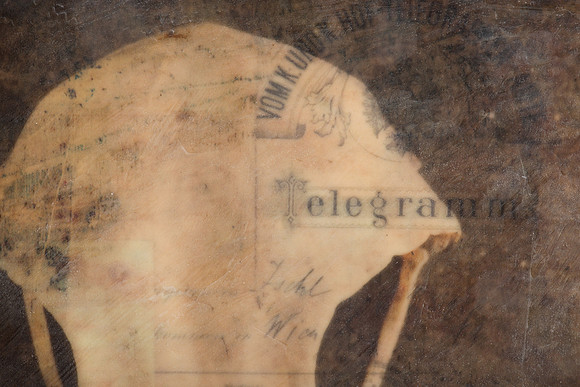 "Specimens", panel 10 detail