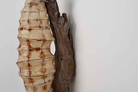 Cocoon, detail